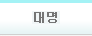 대명